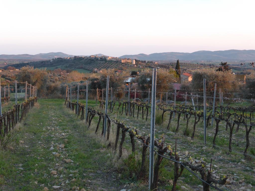 Campospillo Villa Magliano in Toscana Eksteriør billede
