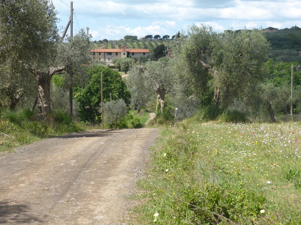 Campospillo Villa Magliano in Toscana Eksteriør billede