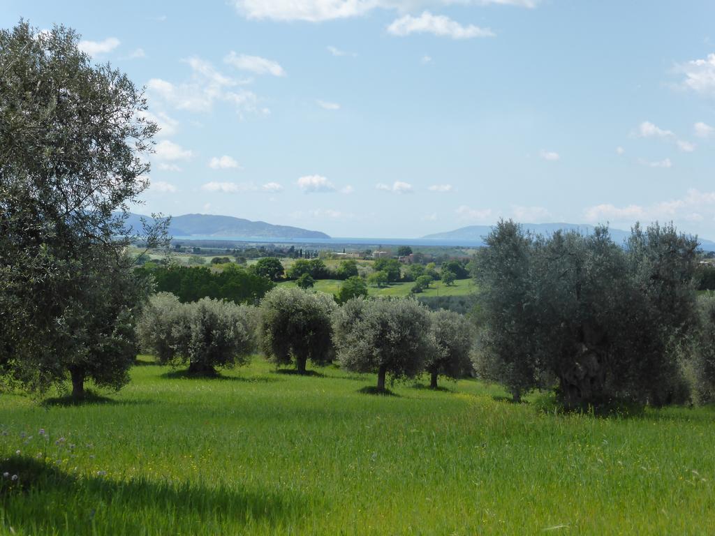 Campospillo Villa Magliano in Toscana Eksteriør billede