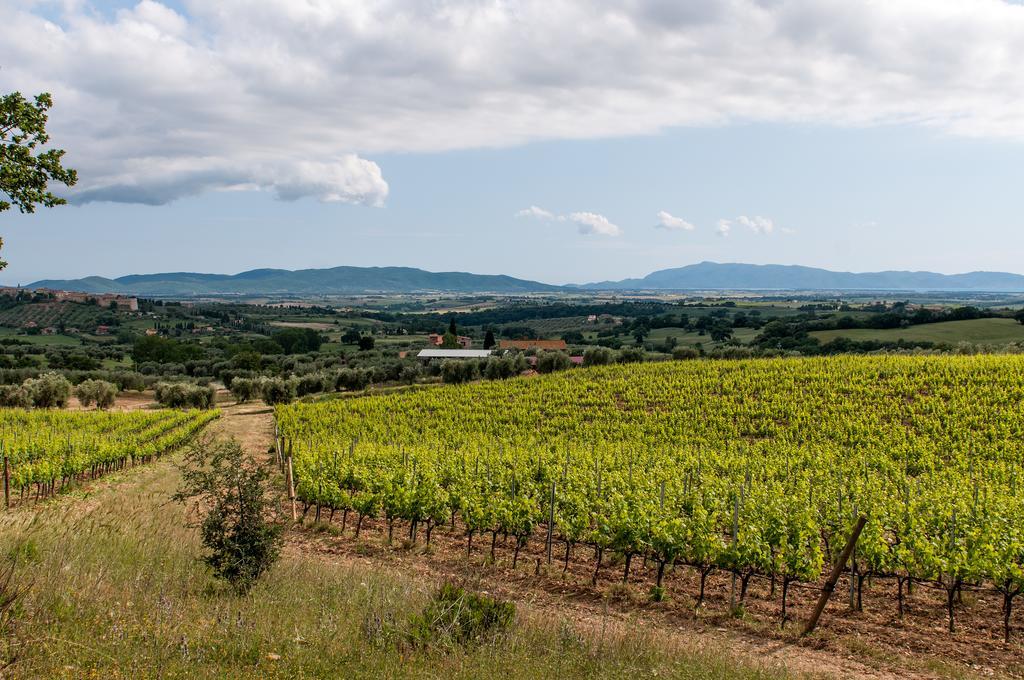 Campospillo Villa Magliano in Toscana Eksteriør billede